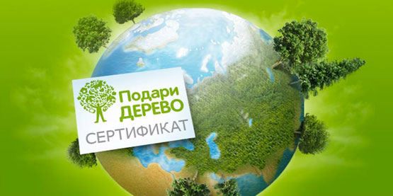 Компания "Элком-Электро" приняла участие в масштабном  экологическом проекте "Подари дерево"