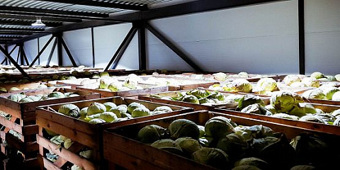 Овощехранилище в Тульской области